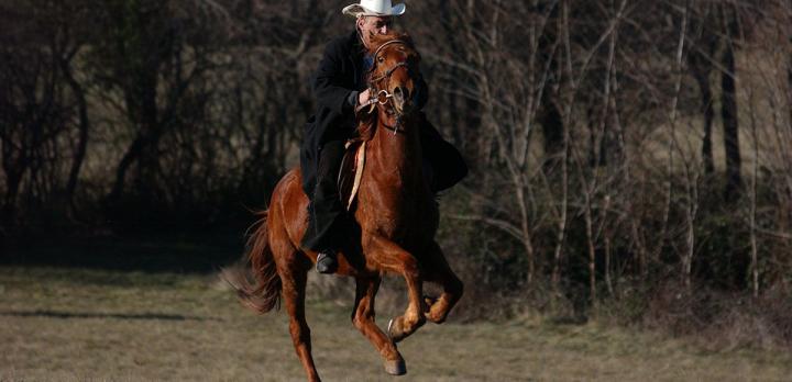 Voyage sur-mesure, Découverte d'un ranch typique & balade à cheval